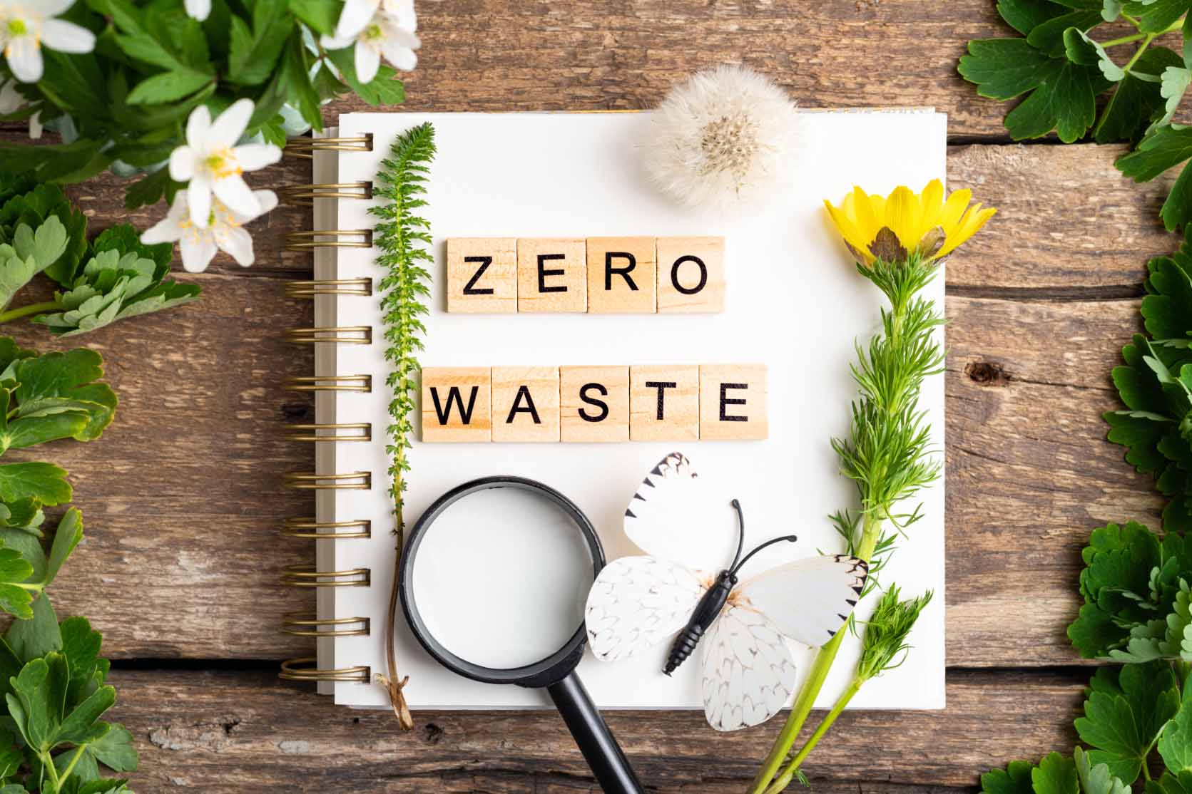 14 Eco-Friendly Corporate Gifts